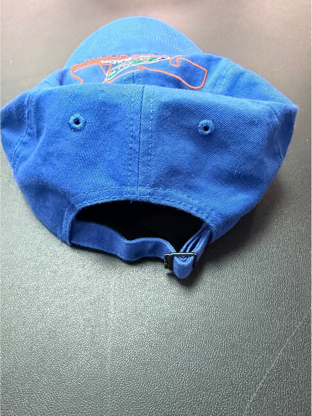 Vintage 2007 Florida Gators Back-to-Back National Champions Adjustable Cap - Picture 3 of 6